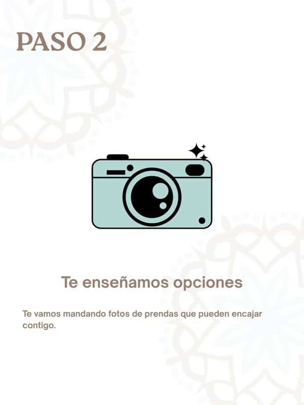 Paso 2 · Te enseñamos opciones